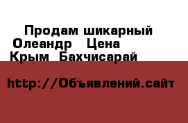 Продам шикарный  Олеандр › Цена ­ 7 500 - Крым, Бахчисарай  »    